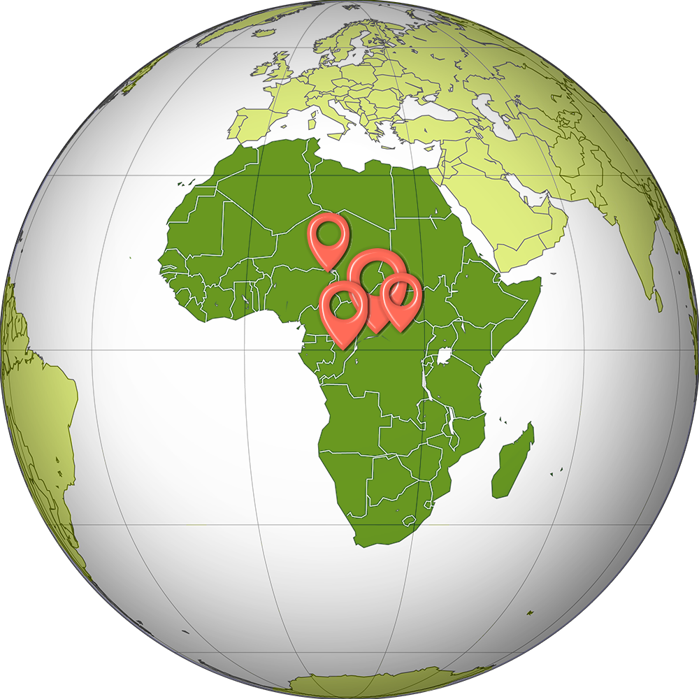 Afrique : 25